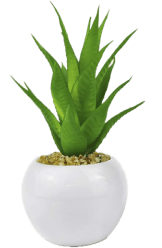 Вода для оселі